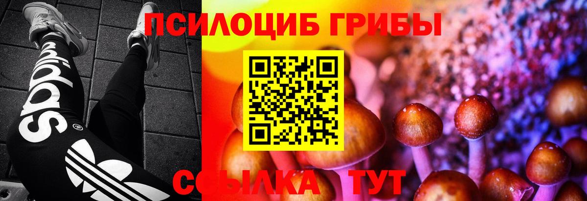 Балтийск  Псилоцибиновые грибы GOLDEN TEACHER  Вход с VPN 